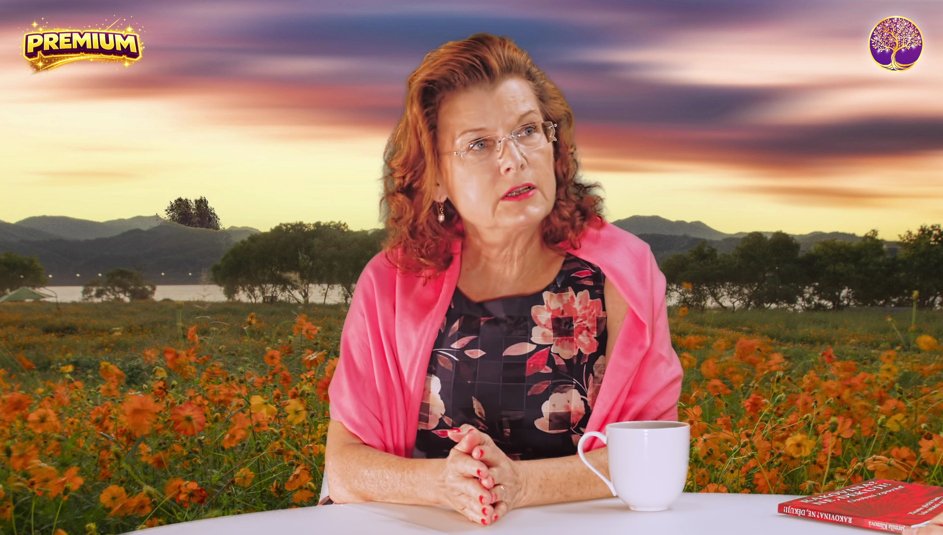 Jarmila Klímová - Rakovina? Ne, děkuji!
