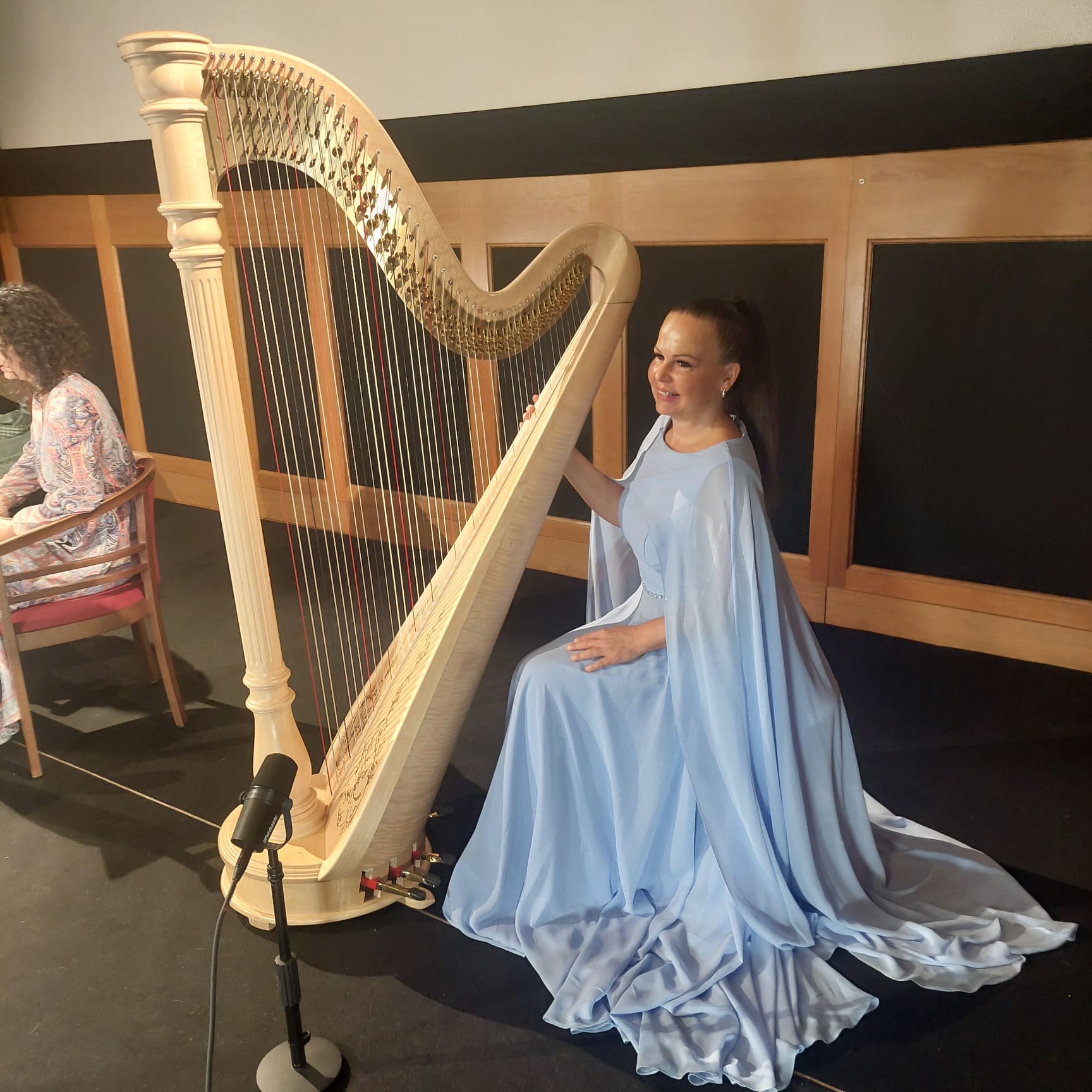 Harfistka Katarína Ševčíková na besedě v Plzni