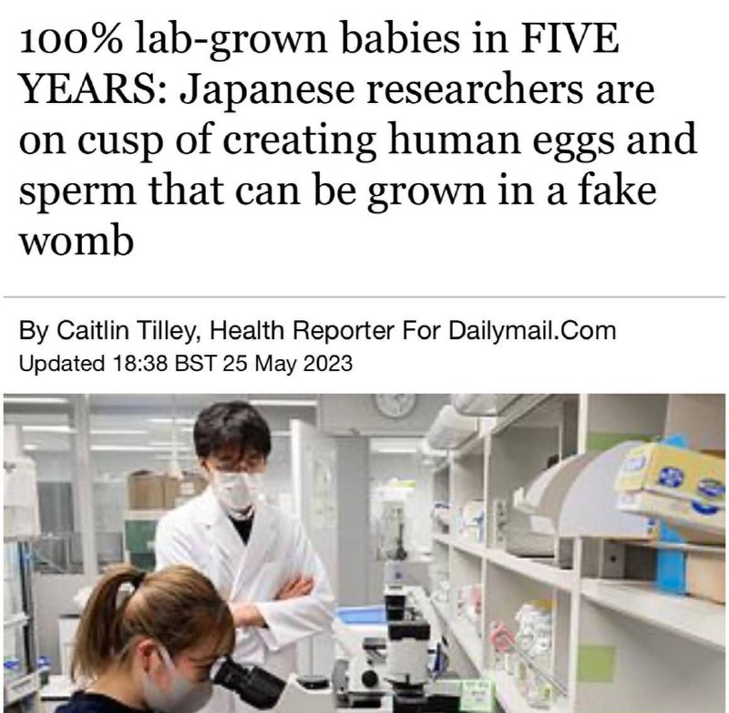 🇯🇵„100% laboratorní děti za pět let“. Japonští vědci jsou jen krůček od vytvořen?...