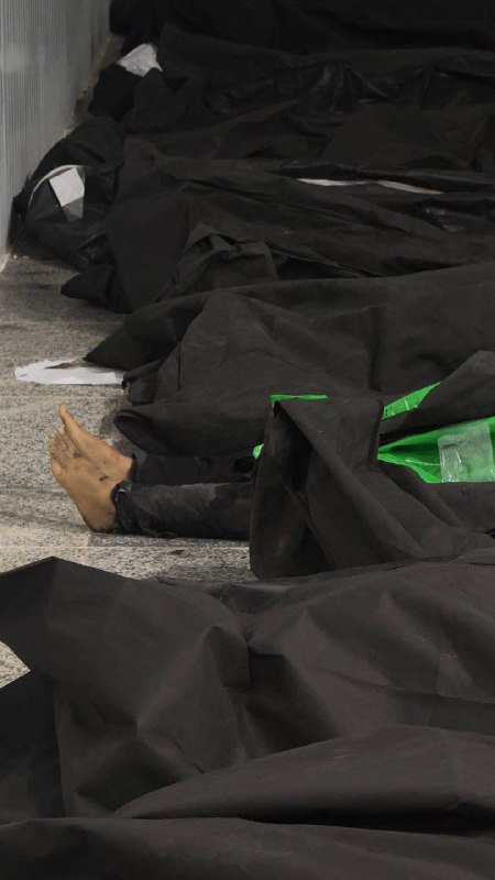 (18+) Na internetu se objevily fotografie obětí amerických a izraelských útoků na školu pro d...