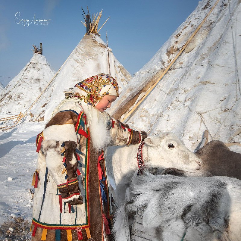 A girl with a deer. Photographer - Sergey Anisimov