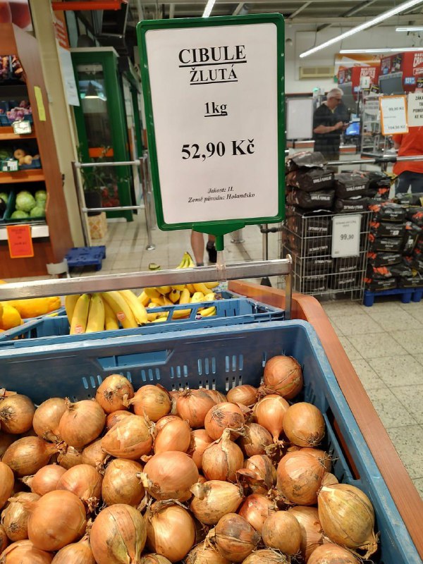 🇧🇴🇨🇿Ale zato je to cibule západní, dokonce až z Holandska!Polovina června, Prach...