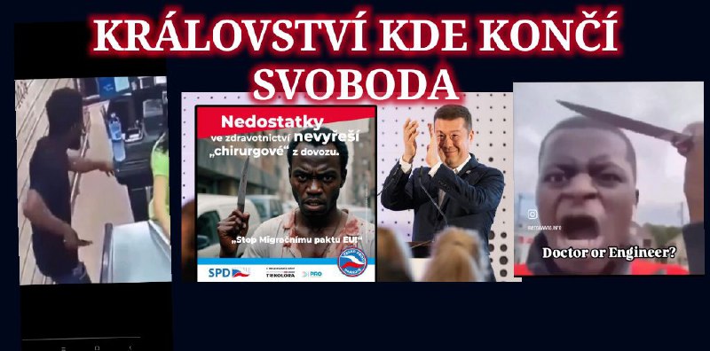Česká republika se mění v fašistický stát: Svoboda slova končí, umlčování odpůrců rež...