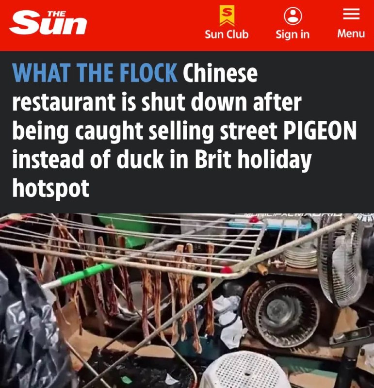 „Čínská restaurace byla zavřena poté, co byla přistižena při prodeji pouličních holubů?...