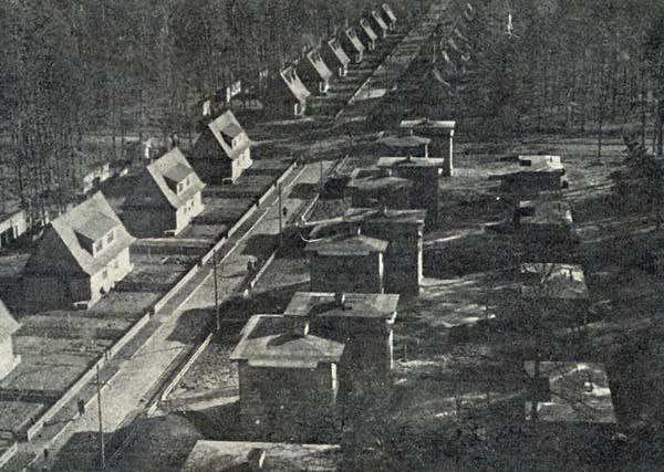 Dnes je to 80. výročí masové vraždy v údolí Yanova, kterou zorganizoval Bandera během masakr...