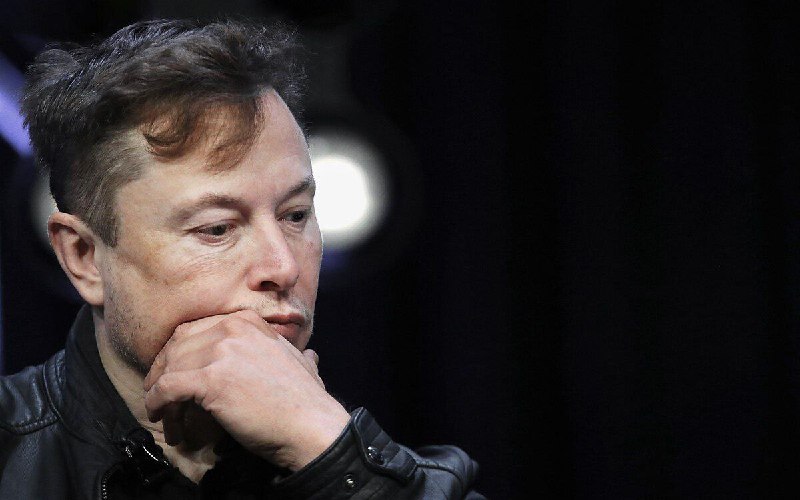 🇺🇸Elon Musk věří, že USA zažijí masové hladovění kvůli ekonomickým plánům Kamaly ...