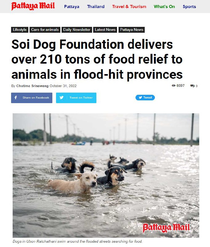 🤡 Europoslanec Zdechovský a rádoby odborník na „dezinformace“ Roman Máca šířili dalš?...