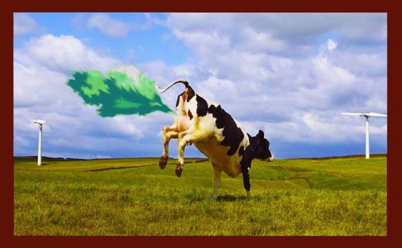 ? ? ? Farm&aacute;řům bude nař&iacute;zeno krmit sv&eacute; kr&aacute;vy "metanov&yacute;mi supresory", aby ...