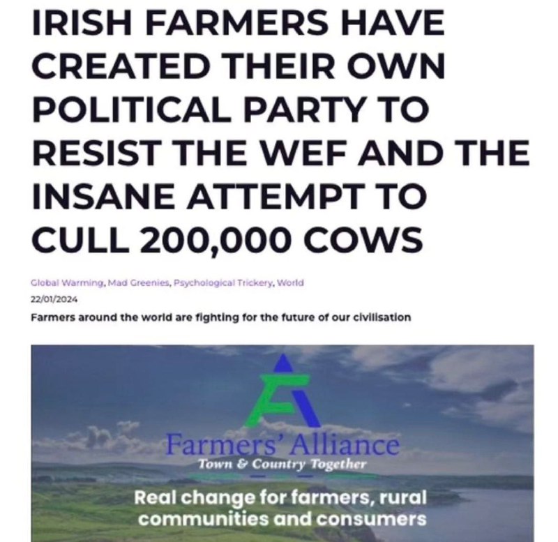 Hurá! Děje se! My lidé reagujeme👊🚜🇮🇪Irští farmáři vytvořili vlastní pol...