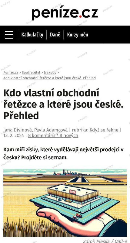 ⏩ Kam míří zisky, které vydělávají největší prodejci v Česku? ⬇️ Projděte si sezna...