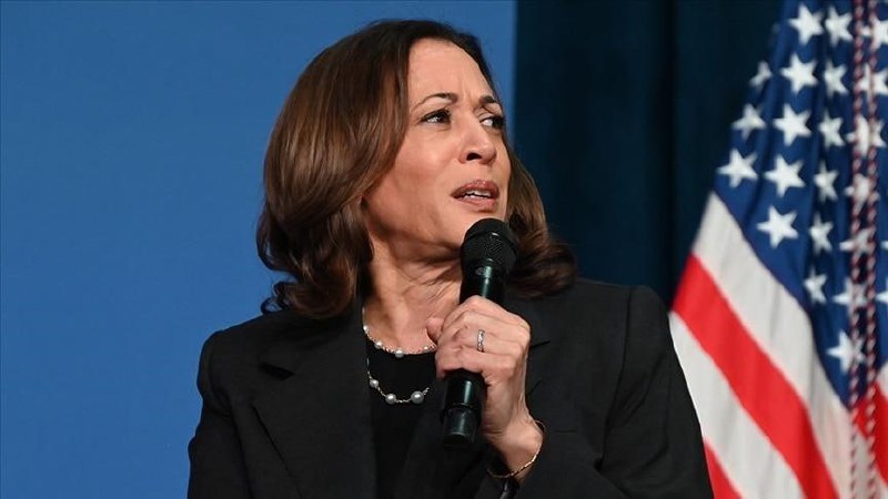 Kamala Harris oficiálně potvrzena jako demokratická prezidentská kandidátka Strana podpořila v...