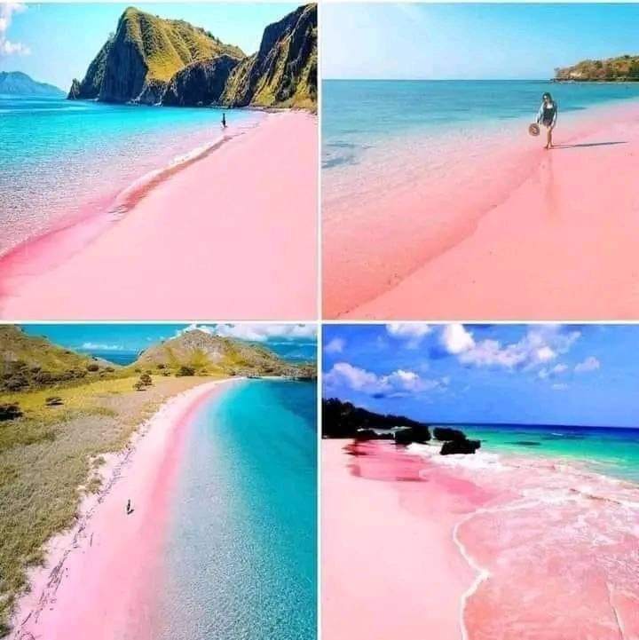 KOMODOINDONÉSIE 🇮🇩Krásný indonéský ostrov Komodo je známý největšími ještěry na sv...