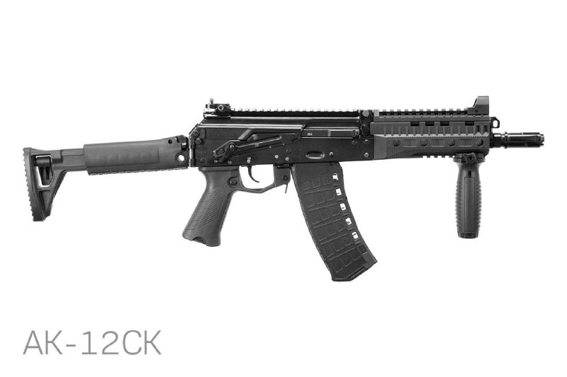 Koncern Kalašnikov vyvinul dvě nové modifikace pro útočnou pušku AK-12.Zkrácený AK-12K a mal...