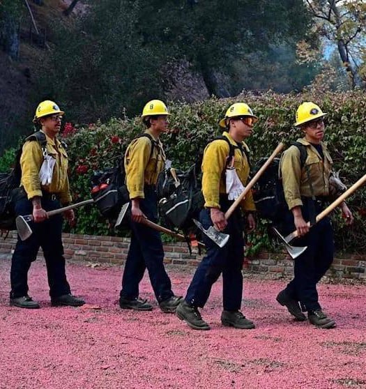🇺🇸Los Angeles: začali na město sypat ohnivzdornou směs.Chemický retardér, směs 85 procen...