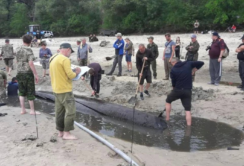 Na dně mělkého Dněpru našli tisíc let starou dubovou loďNyní byl nález přemístěn do rest...