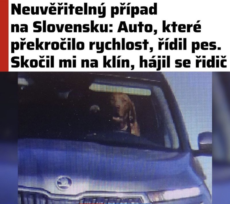 🇸🇰Na Slovensku to jede 🚗🚘🚙