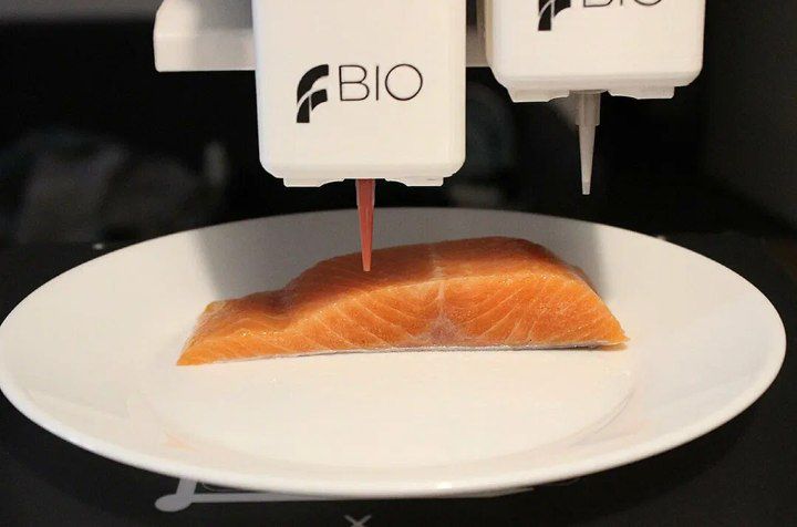 Na trh se dostanou ryby vytištěné na 3D tiskárně.Společnost Stakeholder Foods vyvinula 3D tiš...