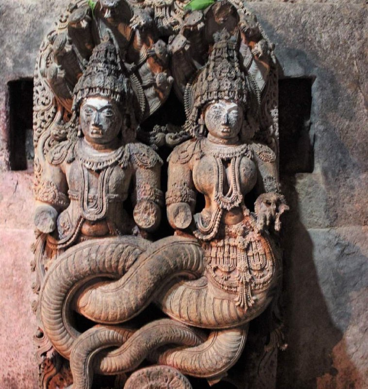 Naga a NaginiProtějšek NagaJsou to tvorové, kteří žijí v tajemném a bohatém podzemním krá...