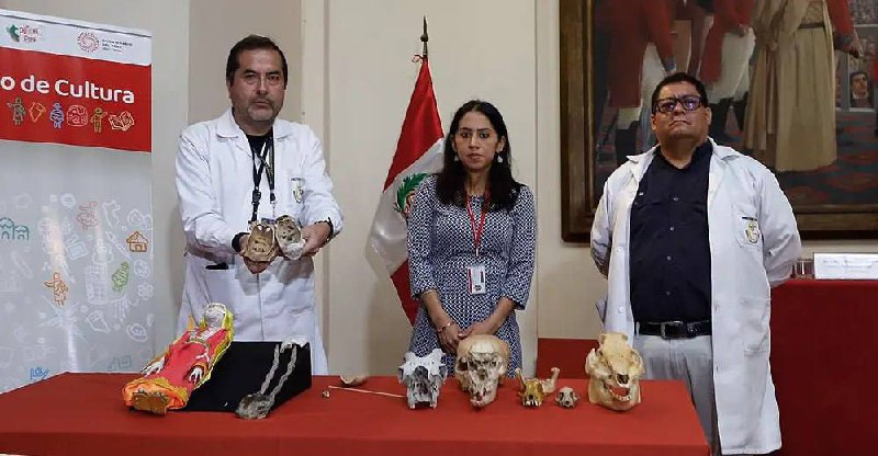 Národní institut soudního lékařství a kriminologie v Peru konečně vyvrátil mimozemský pův...