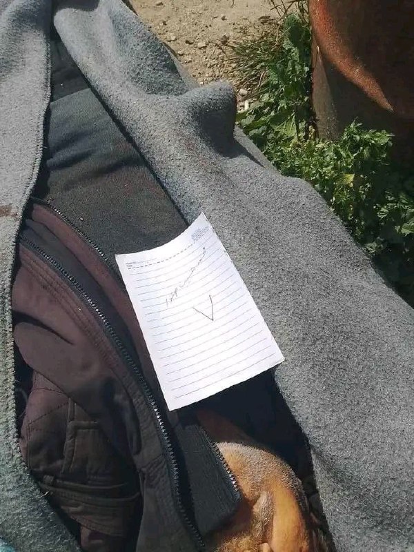 👿💀👿💀Násilí sužuje Sýrii, zatímco džihádistické gangy neustále vraždíSvědci n...