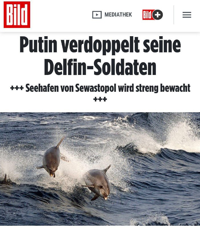 🐬Německá média panikaří kvůli „nárůstu počtu delfíních vojáků v námořním přís...