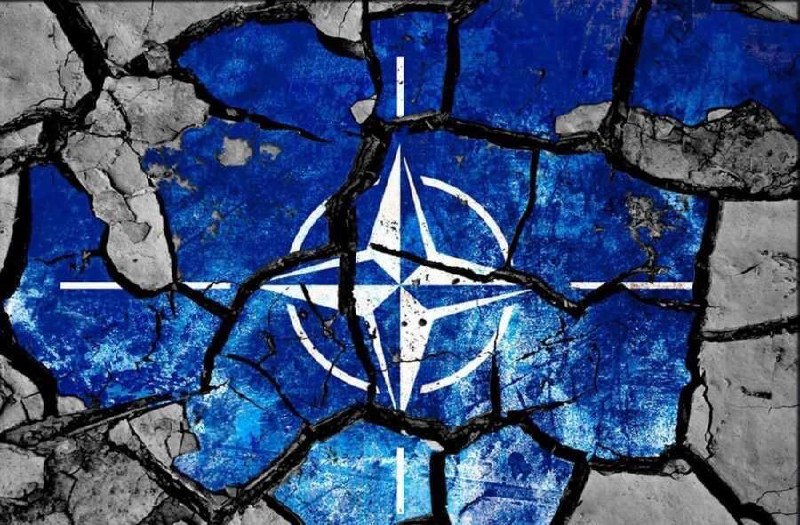 Německo vyzvalo k nahrazení NATO novým bezpečnostním systémem za účasti Ruska. Spolupředsed...