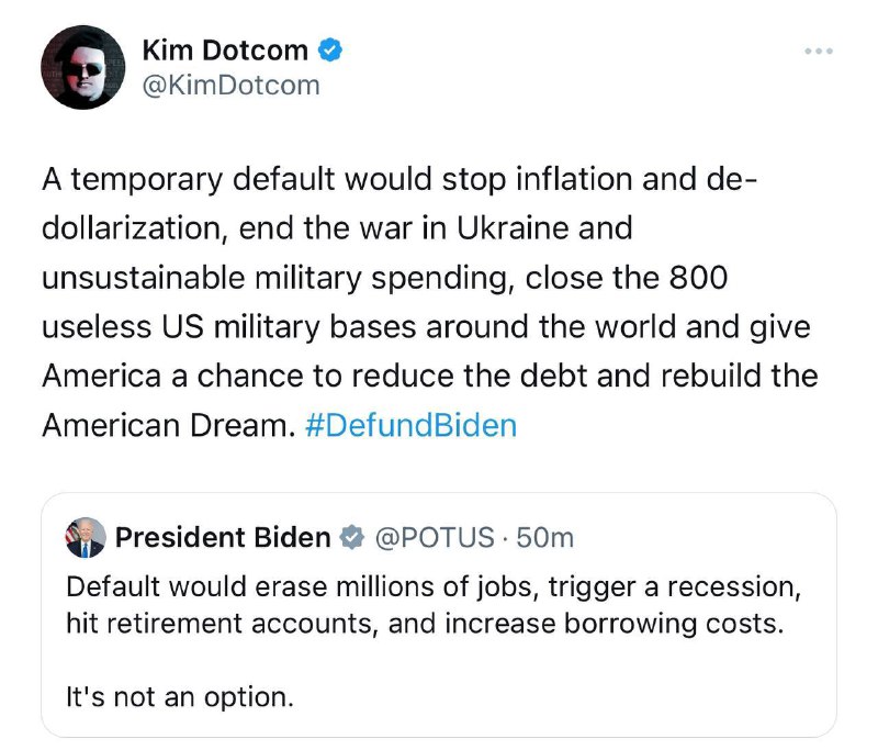 Německý internetový podnikatel a politický aktivista Kim Dotcom:Dočasný default zastaví infla...