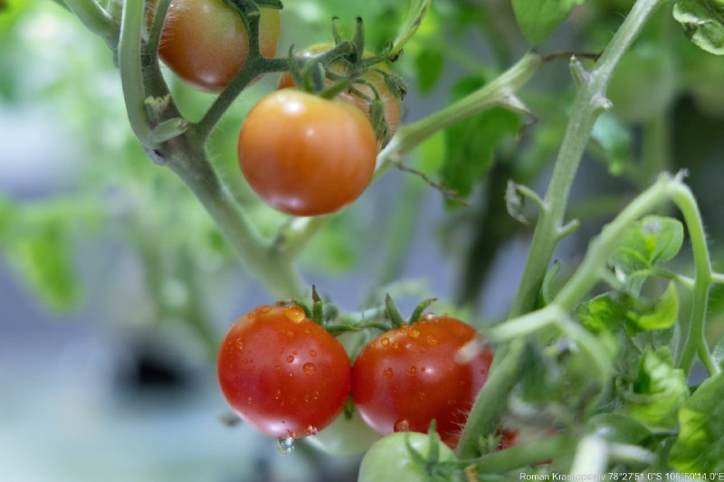 🇷🇺❤️👍Nikdy byste neuhádli, kde to je, takže hned řeknu odpověď – na jižním pó...