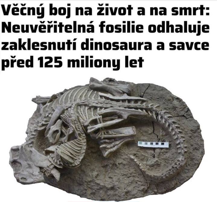 No a s reptikama bojujeme do dnes ... No a s reptikama bojujeme do dnes ...