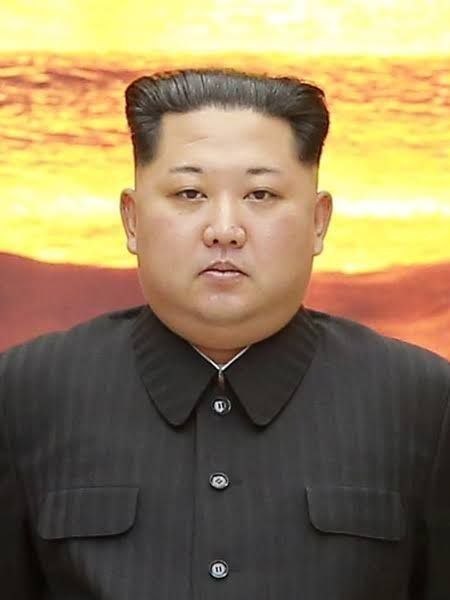 🚨🚨🚨🚨🚨🚨 #OkamžitěPrvní zprávy naznačují, že Kim Čong-un byl zabit.🔴 http...