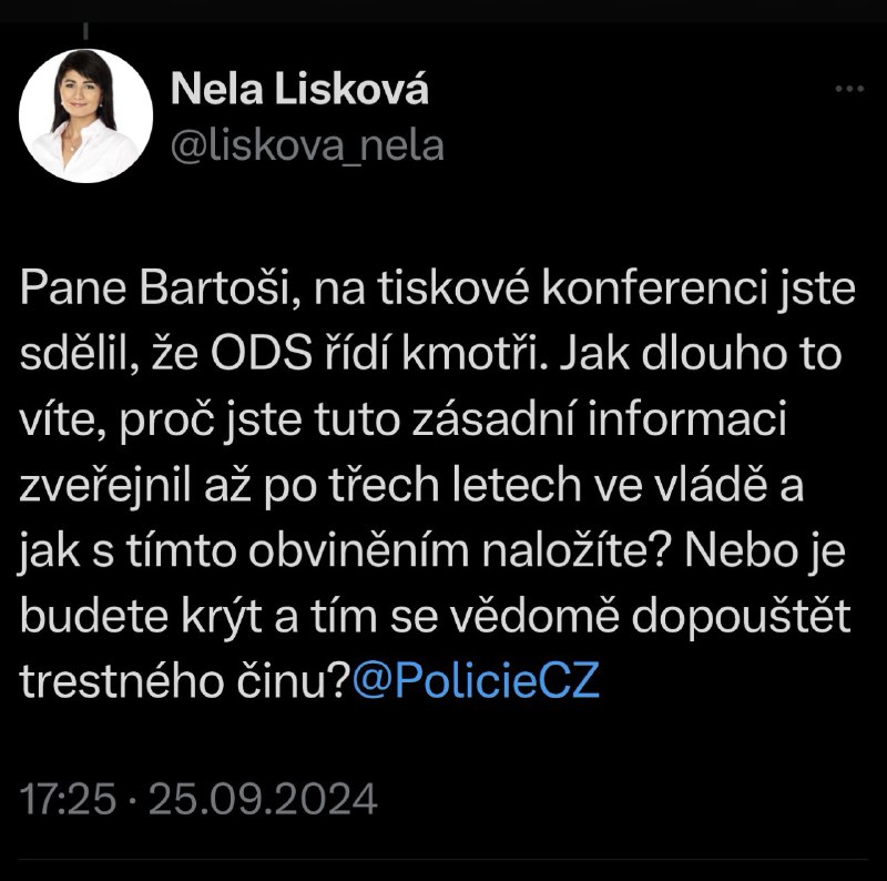 Piráti mě zažalovali, že mohu za jejich špatný volební výsledek a probíhá soud. Již druh?...