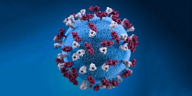 🔥 Po Číně se metapneumovirus šíří i v Kazachstánu.Od začátku epidemické sezony bylo v ...
