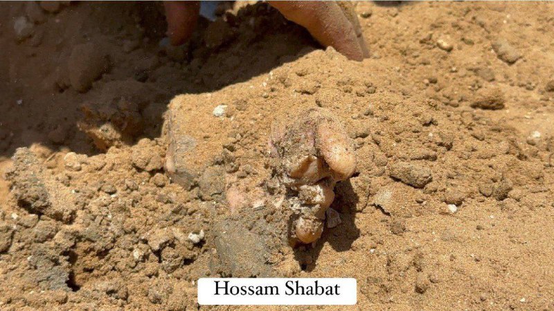 🇮🇱🇵🇸Po tom, co se #izraelské okupační síly stáhly z oblasti, #Palestinci objevili m...