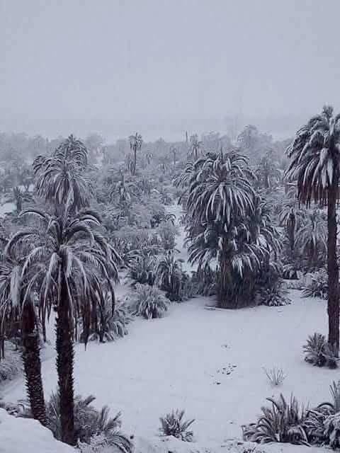 🇲🇦❄️ Poprvé za 50 let je Maroko pokryto sněhem. Výška sněhu v některých oblastech d...