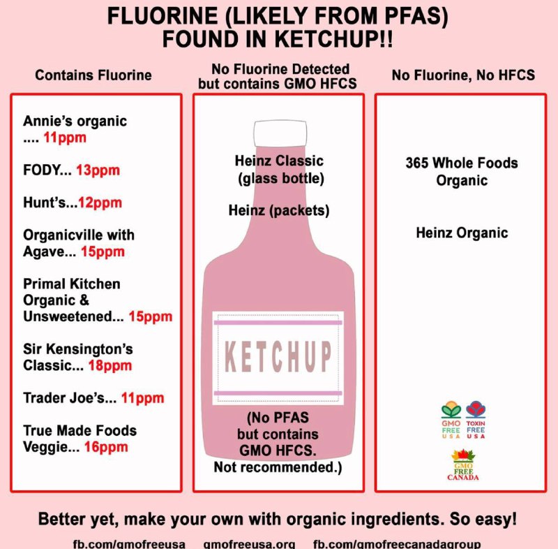 ❌PROBLÉM: Toxický kečup: Heinz používá geneticky modifikovaná rajčata spolu s HFCS. Tyto f...