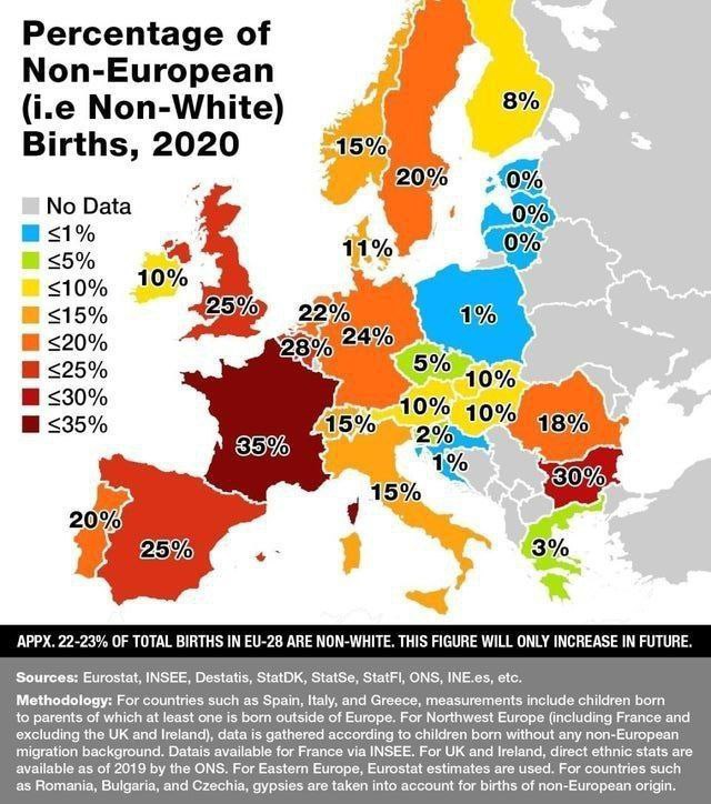 Procento neevropských (tj. nebílých) narozenýchv roce 2020 👈APPX. 22–23 % CELKOVÝCH NAROZE...