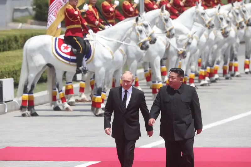 🇷🇺 🇰🇵 Ruský prezident Putin daroval Kim Čong-unovi 24 čistokrevných koní jako platb...