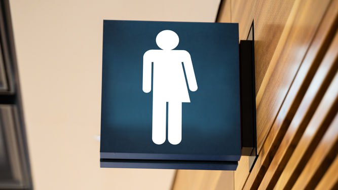 Školák znásilňuje dívky na genderově neutrálních toaletách ve Velké BritániiPolicie hrabs...