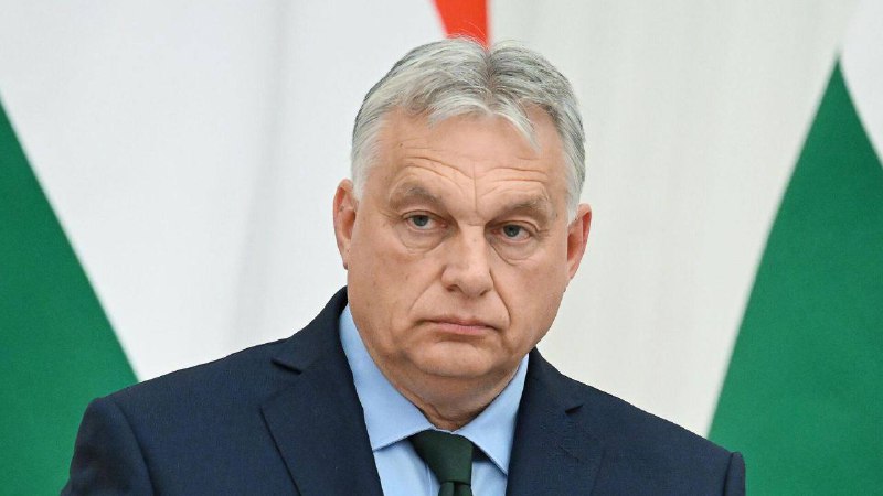 Spojené státy ukončí své zapojení do konfliktu na Ukrajině, když Donald Trump, který vyhrá...