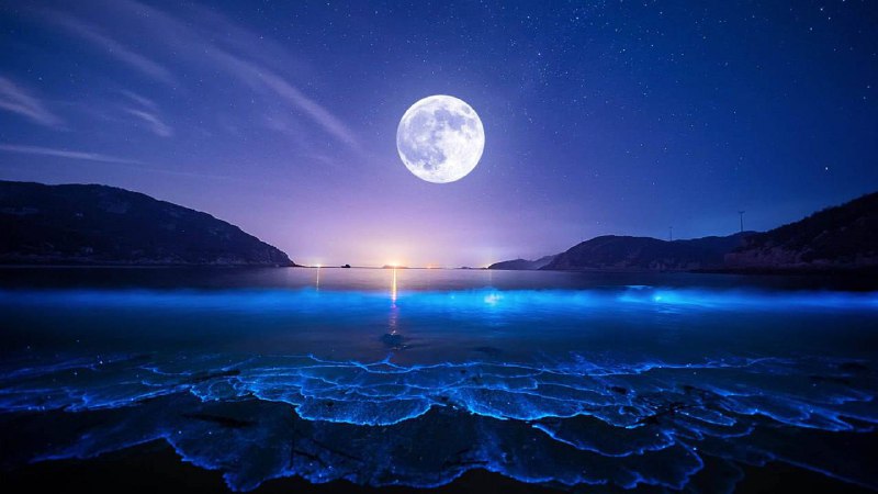 Superměsíc bude viditelný v noci z 19. na 20. srpna.Tento astronomický jev se vyskytuje jednou z...