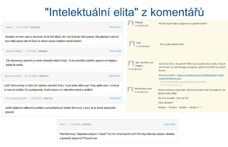 Tady je maličká ukázka toho, jak se vyjadřuje naše "morální a vzdělaná elita" k m...