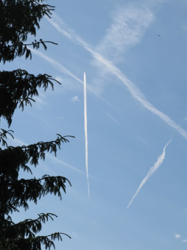 Takové "normální" vykropené nedělní ráno. Již 2 dny jsme opět pod intenzivním ch...