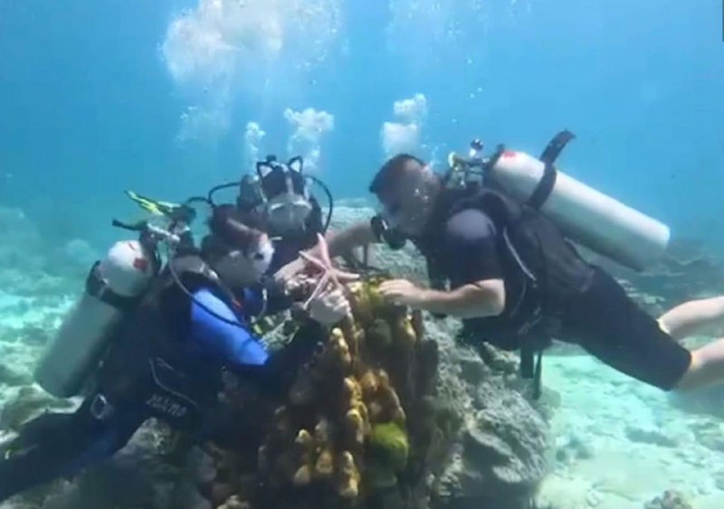 ❗️V thajském Pchúketu dostali dva čínští turisté pokutu za focení hvězdic při potápě...