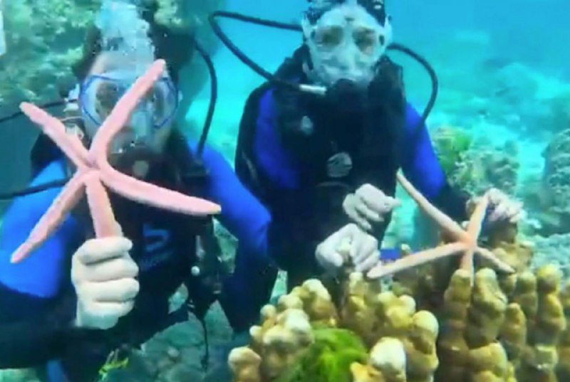 ❗️V thajském Pchúketu dostali dva čínští turisté pokutu za focení hvězdic při potápě...