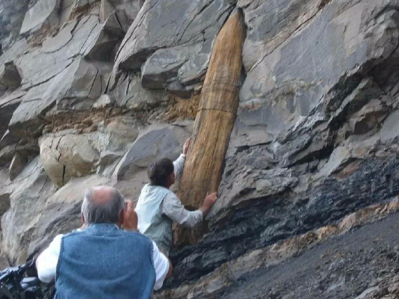 Vědci předpokládají, že většina zemských vrstev na zemském povrchu se ukládala pomalu běh...