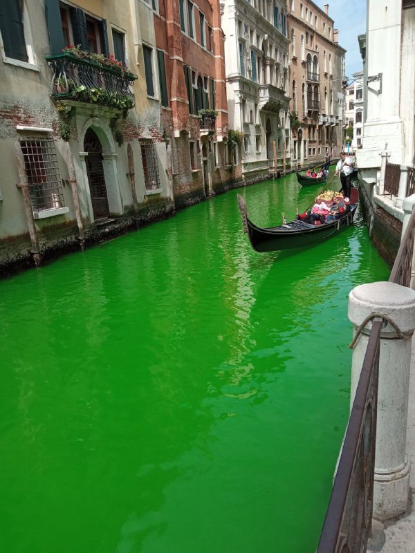 ⚡️🇮🇹Voda v benátských kanálech zezelenala.Velký kanál v Benátkách dnes ráno náhle... ⚡️🇮🇹Voda v benátských kanálech zezelenala.Velký kanál v Benátkách dnes ráno náhle...