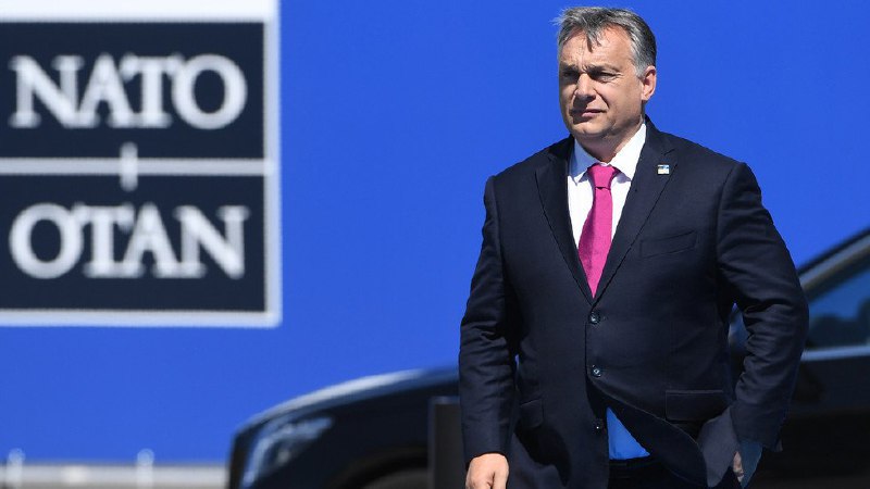 🔥 Vztahy mezi zeměmi NATO a Maďarskem se blíží „bodu varu“. Američané se obávají úd...