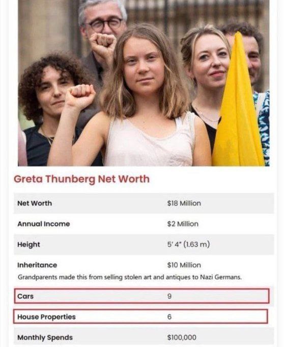 Zajímavý fakt: ⚠️ Čisté jmění Grety Thunbergové je již 18 000 000 $..!!Kdo ...