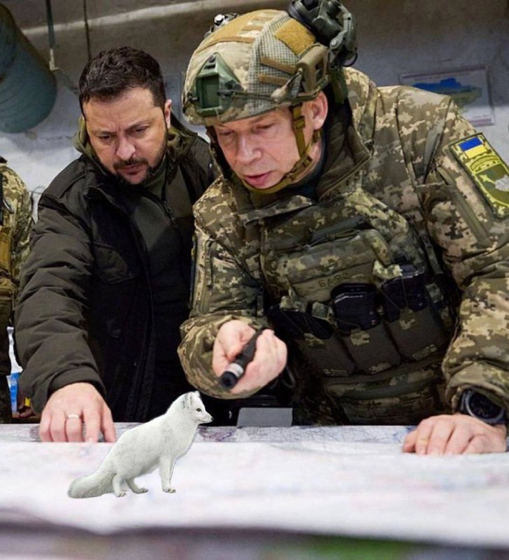 Západní média přivítala schválení vojenské pomoci Kyjevu skepticky. Jako, státy jsou samoz?...