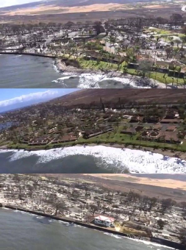 Zločin na Havaji! ✍️🇺🇸Matt Wallace, YouTuber a analytik kryptoměn:⛔️Místní oby...